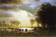 The Buffalo Trail